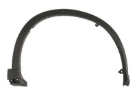 Trim / protection panel, fender