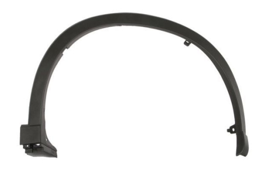 Trim / protection panel, fender