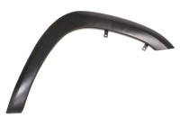 Trim / protection panel, fender