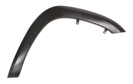 Trim / protection panel, fender