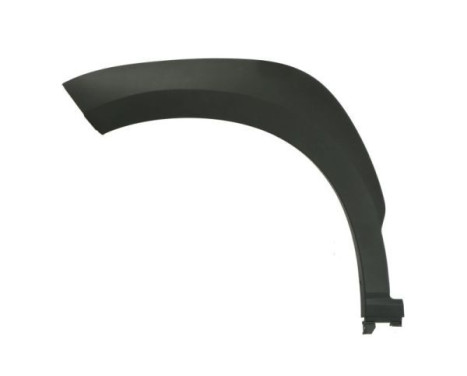 Trim / protection panel, fender