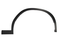 Trim / protection panel, fender