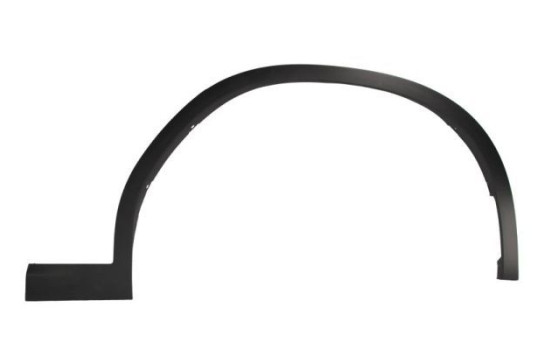 Trim / protection panel, fender