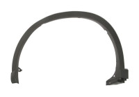 Trim / protection panel, fender