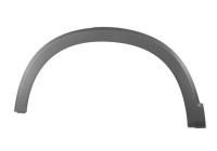 Trim / protection panel, fender