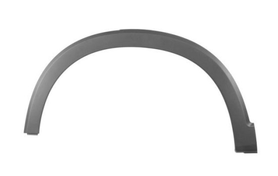 Trim / protection panel, fender