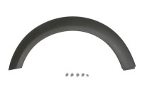 Trim / protection panel, fender
