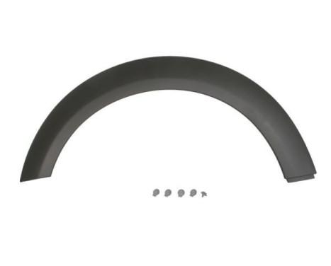Trim / protection panel, fender