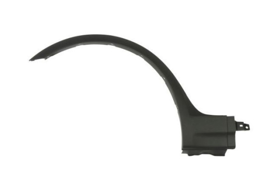 Trim / protection panel, fender