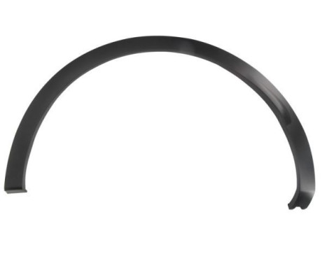 Trim / protection panel, fender