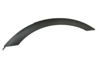 Trim / protection panel, fender
