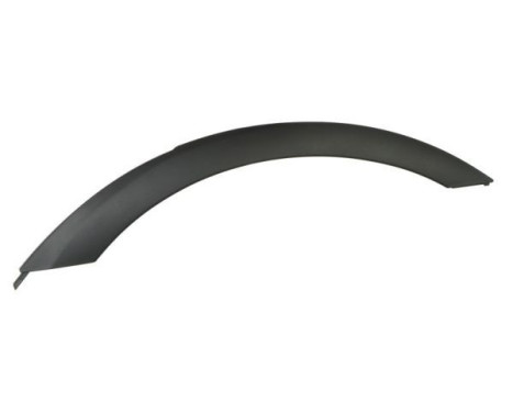 Trim / protection panel, fender