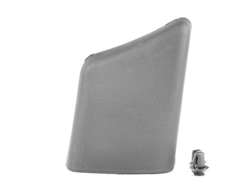 Trim / protection panel, fender