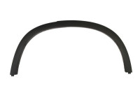 Trim / protection panel, fender