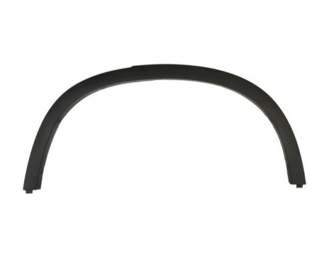 Trim / protection panel, fender