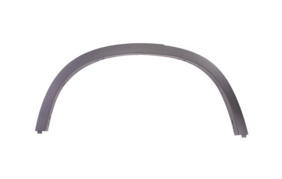 Trim / protection panel, fender