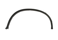 Trim / protection panel, fender