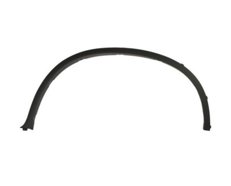 Trim / protection panel, fender