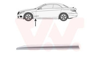 Trim/protection panel, fender