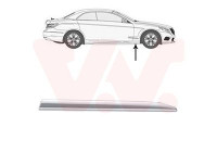 Trim/protection panel, fender