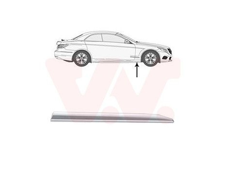 Trim/protection panel, fender