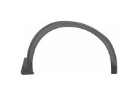 Trim/protection panel, fender