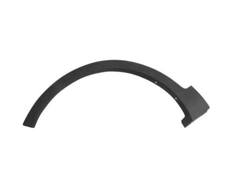 Trim/protection panel, fender