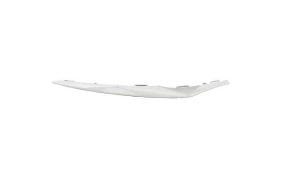 Trim/protection panel kit, bumper