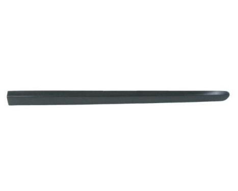 Trim/protection panel, mudguard