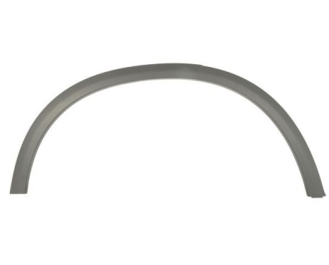 Trim/protection panel, mudguard