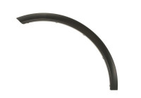 Trim/protection panel, mudguard