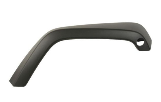 Trim/protection panel, mudguard