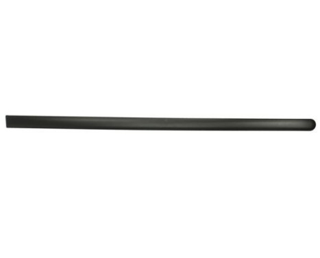 Trim/protection panel, mudguard