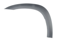 Trim/protection panel, mudguard