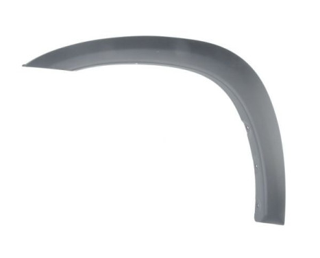 Trim/protection panel, mudguard