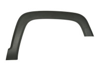 Trim/protection panel, mudguard