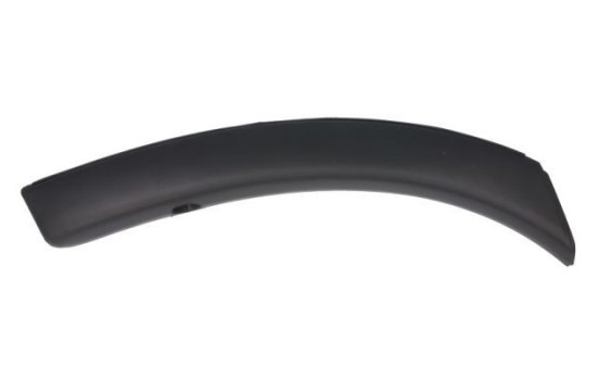 Trim/protection panel, mudguard
