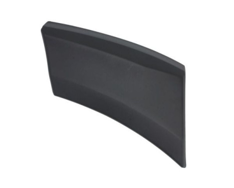 Trim/protection panel, mudguard