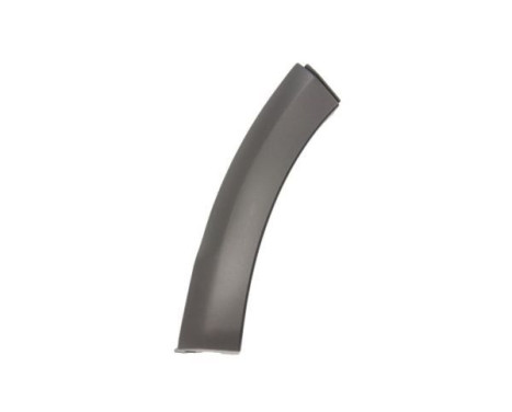 Trim/protection panel, mudguard