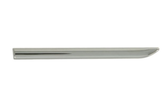 Trim/protection panel, mudguard