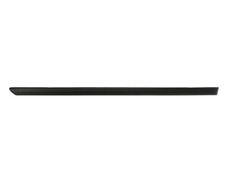 Trim/protection panel, mudguard