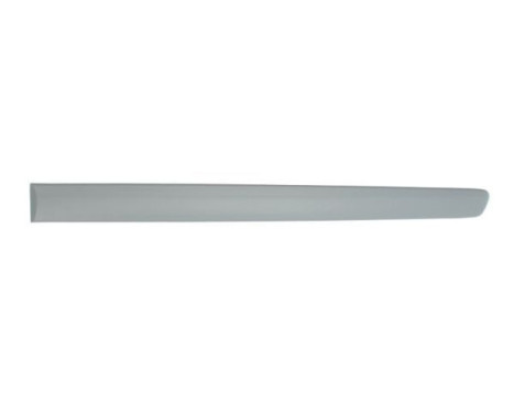 Trim/protection panel, mudguard