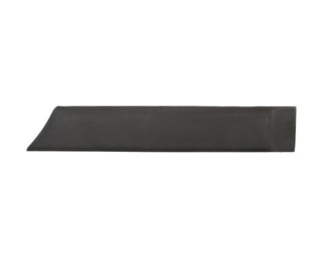 Trim/protection panel, mudguard