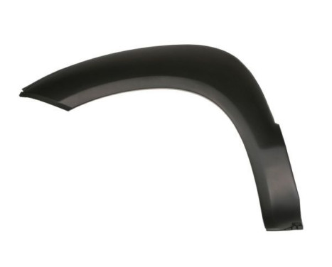 Trim/protection panel, mudguard