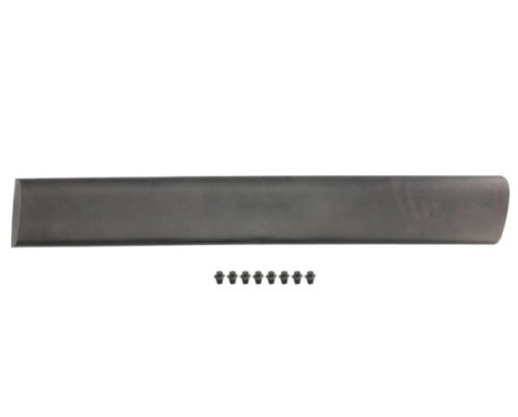 Trim/protection panel, mudguard