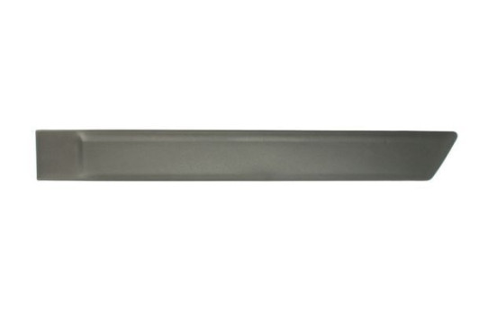 Trim/protection panel, mudguard