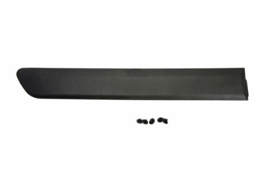 Trim/protection panel, mudguard