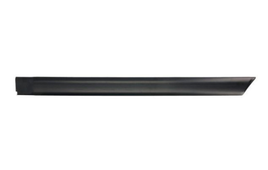 Trim/protection panel, mudguard