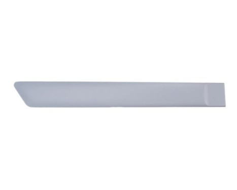 Trim/protection panel, mudguard
