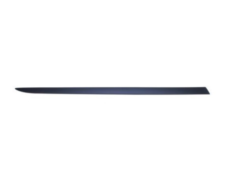 Trim/protection panel, mudguard